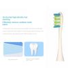 12Pcs Replacement Brush Heads for X/X Pro/ Z1/ F1/ One/Air 2 /Se Electric Tooth Brush view 4