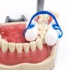 20 Pcs/bag Cotton Roll Holder Clip Disposable Blue Clip for Dental Dentist Clinic Orthodontic Plastic Compact Clip view 4