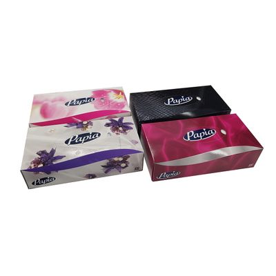 Blake & White 2-Ply Facial Tissues Box Multipack- Soft and Luxurious 100 Sheets Per Box Face Tissues - Extra Absorbent Facial Tissue for Cleaning Spills - Ideal for Home and Office - 24 Pack