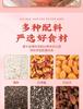 Chia seed sweet scented osmanthus nut lotus root powder soup 500g/can, Rose and red dates nut lotus root powder, Cereals, Chinese healthy instant brew breakfast (Chia seed osmanthus,1 can) view 4