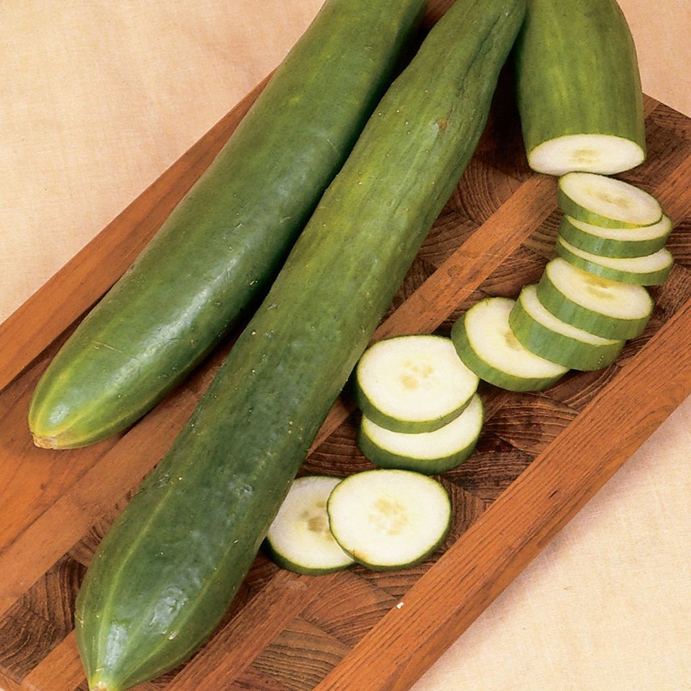30 + Japanese Long Cucumbers Decapaggio Mild Criscrown USGROWN Biology SEME Non-OCM