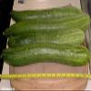 30 + Japanese Long Cucumbers Decapaggio Mild Criscrown USGROWN Biology SEME Non-OCM view 4