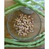 Heerloom Bush Pea Texas Cream 40 Cowpea 200 semi Prolific Bean Pea Del Sud view 1