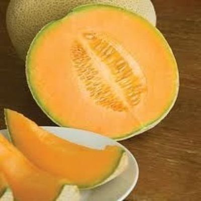 35 Hales Best Jumbo Cantaluupe 2018 (All Non-ogm semi-cimel Vegetable!)