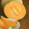 35 Hales Best Jumbo Cantaluupe 2018 (All Non-ogm semi-cimel Vegetable!) view 1
