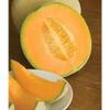 35 Hales Best Jumbo Cantaluupe 2018 (All Non-ogm semi-cimel Vegetable!) view 2