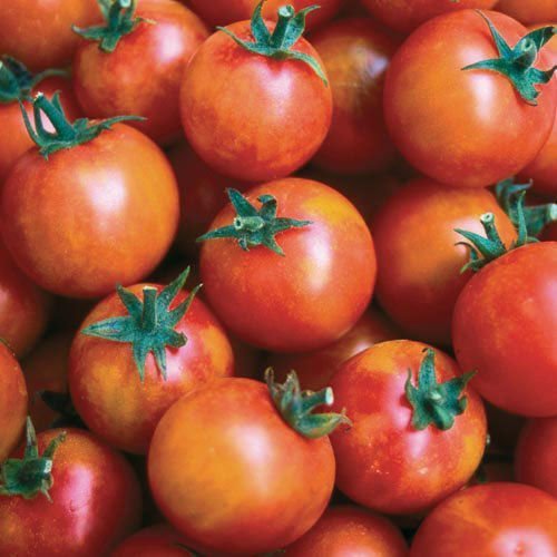30 Semi isis Candy Cherry of Tomato 2018 (Non GMO Semi -cimel Vegetable!)
