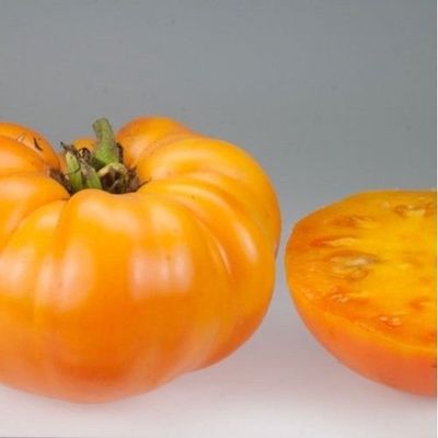 30 Kellogg Tomato Breakfast 2018 (All Non-ogm semi-cimel Vegetable!)