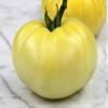 30 Wonder Tomato Cromoruto 2018 (All Non-ogm semi-cimel Vegetable!) view 1