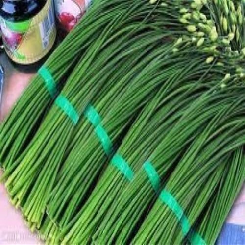 150 Cipollina Garlic 2018 (All Non-ogm semi-cimel Vegetable!)