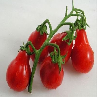 30 Rosso Tomato Pear 2018 (All Non-ogm semi-cimel Vegetable!)