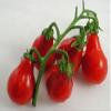 30 Rosso Tomato Pear 2018 (All Non-ogm semi-cimel Vegetable!) view 1