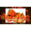 (25+) Semi Pepper Orange Pepper view 2