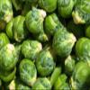 100 +"Long Island Improved" Brussels semi -Family Favorite ~ Sweets view 1