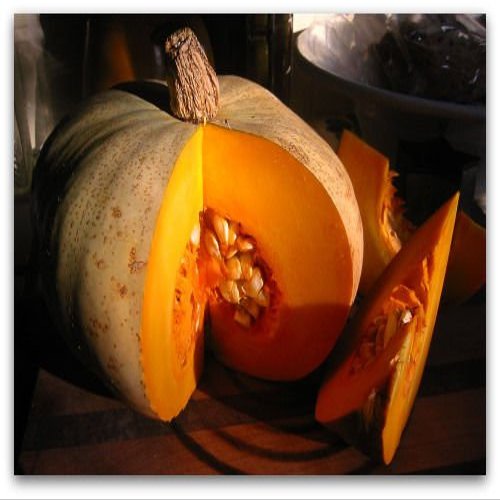 10 Sweet Meat Squash 2018 (All Non-ogm semi-cimel Vegetable!)