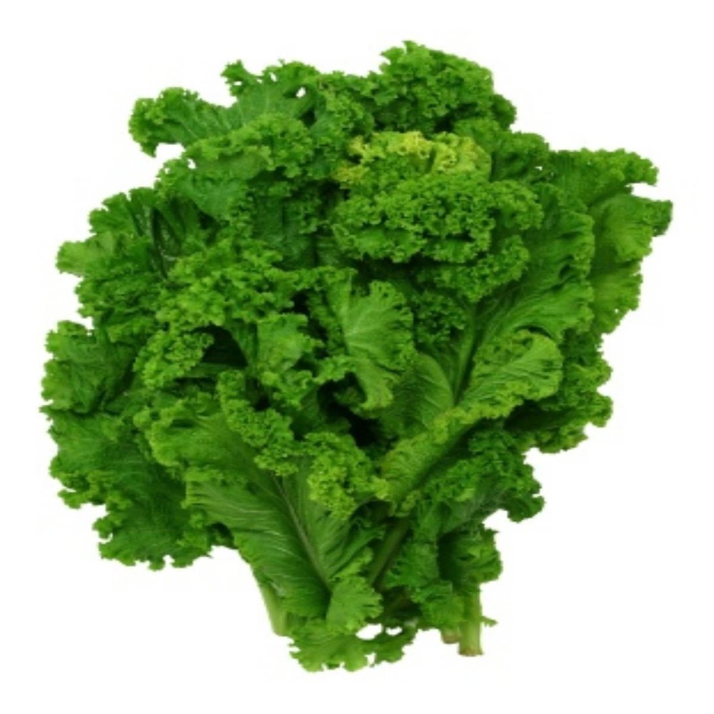 1.4g Organic Southern Giant Curled Mustard semi ~ 10ct Zesty Vegetables