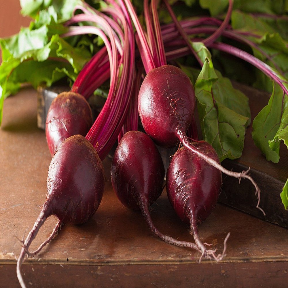15.13g Organic Detroit Dark red Beet Tail