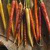 330mg Rainbow Semi Mix Carrot ~ 140ct White Yellow Purple red Root Veggie view 1