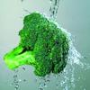 50 semi Broccoli Waltham 29 Vegetable view 2