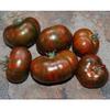 30 Chocolate stropes of Tomatoes 2018 view 2