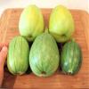 20 Tatume Squash 2018 (All Non-ogm semi-cimel Vegetable!) view 2