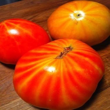 30 mr Stripey Tomato 2018 (All Non-ogm semi-cimel Vegetable!)