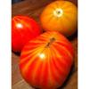 30 mr Stripey Tomato 2018 (All Non-ogm semi-cimel Vegetable!) view 2