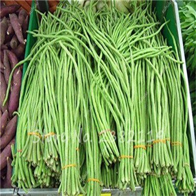 10 Multi -Color Pieces Bean SANI SANI Organic ORTHAGES, Natural Growth for The Garden House Very Delicious Brava Tasty 9