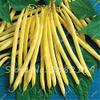 10 Multi -Color Pieces Bean SANI SANI Organic ORTHAGES, Natural Growth for The Garden House Very Delicious Brava Tasty 9 view 4
