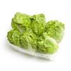10 Iceberg 2018 Lettuce (not GMO Vegelio Vegetable Cimelium!) view 2