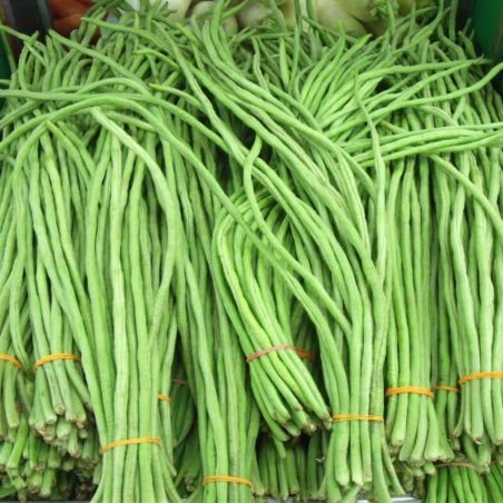 30 semi Yard Long Beans 2018 (All Non-ogm semi-cimel Vegetable!)
