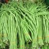 30 semi Yard Long Beans 2018 (All Non-ogm semi-cimel Vegetable!) view 1