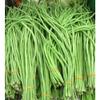 30 semi Yard Long Beans 2018 (All Non-ogm semi-cimel Vegetable!) view 2
