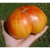 30 Old Semi German Cimelio di Tomato 2018 (Non GMO Semi -cimel Vegetable!) view 2