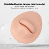 Simulated Silicone Mouth Tongue Model, Simulated Human Mouth Lip Tongue Stud Display Model Set, Mouth Lips Tongue Display Model (Light Skin Colour) view 2