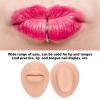 Simulated Silicone Mouth Tongue Model, Simulated Human Mouth Lip Tongue Stud Display Model Set, Mouth Lips Tongue Display Model (Light Skin Colour) view 3