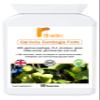 Garcinia Cambogia Fotre.90 Capsules view 1