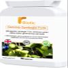 Garcinia Cambogia Fotre.90 Capsules view 2