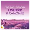 Bold 2-in-1 Lavender and Camomile Washing Powder 65 Washes view 4