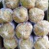 Sea Moss,Dried Sea Vegetable,Seaweed,300g view 4