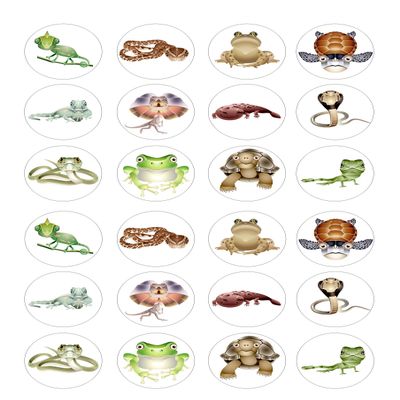 Reptile Reptiles 24 edible PRE CUT wafer paper cupcake toppers