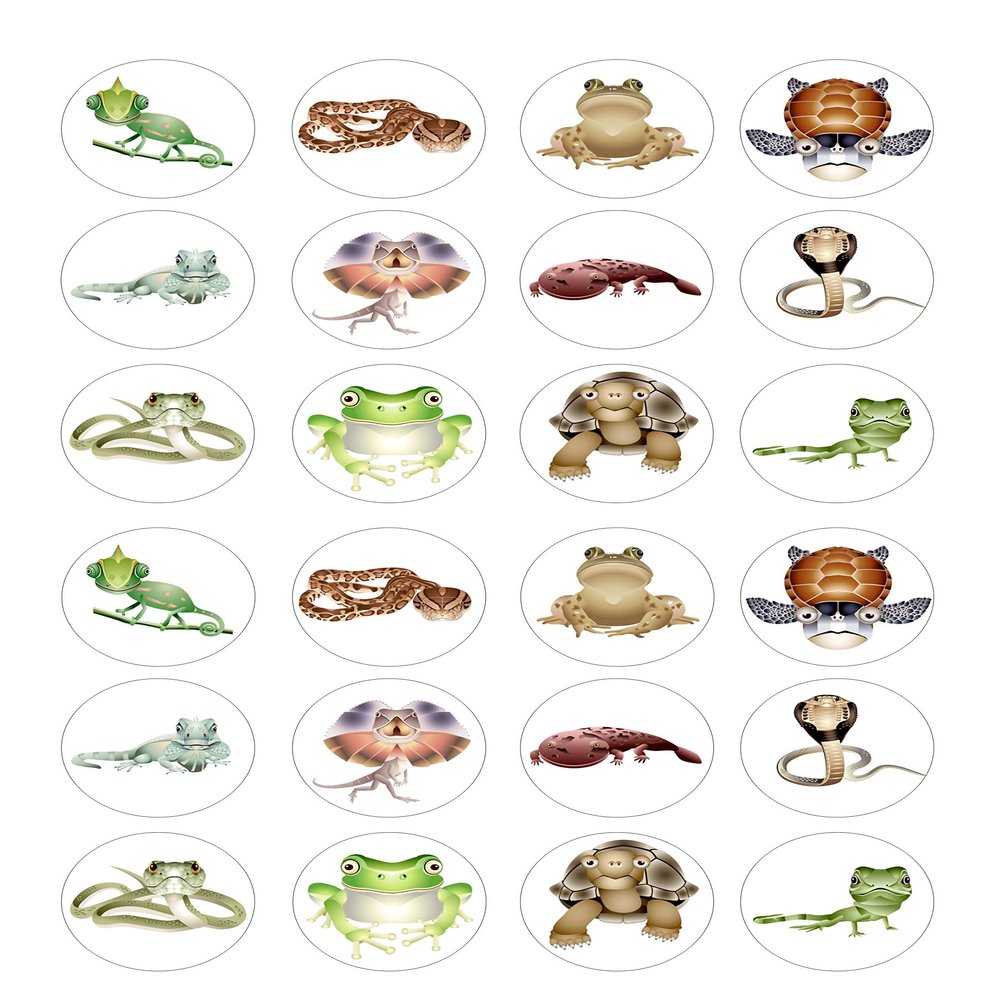 Reptile Reptiles 24 edible PRE CUT wafer paper cupcake toppers