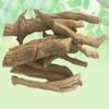 Asrol Roots - Asrol Jadd - Choti Chandan -Raw Herbs-Jadi Booti Buti- Single Herb (250 Gram) view 2