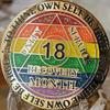 18 Month AA Medallion Rainbow Glitter Gold Plated LGBT Flag Sobriety Chip view 4