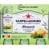 San Pellegrino Italian Sparkling Drinks Darjeeling Tea and Citrus - 6 x 33cl view 1