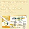 One Step: 10 x Kidney Function Test Kits, Creatinine, Protein and Specific Gravity Urine Strips view 3