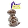ButtonChocs Chocolate Dinosaur - Stomp Chomp Roarr. Belgian Milk Chocolate Dinosaur Gift. view 1