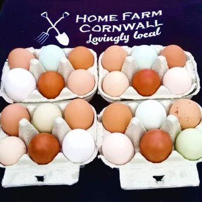 Fertile Chicken Hatching Eggs - 6