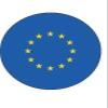 15x EU FLAG 40mm Rice Paper Cup Cake Fairy Toppers EUROPEAN UNION view 1