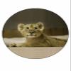 15x LION CUB 40mm Rice Paper Cup Cake Toppers CUTE KING OF THE BEASTS MAGICAL D1 view 1